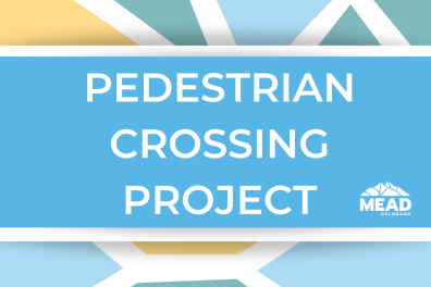 pedestrian crossing project and mead logo